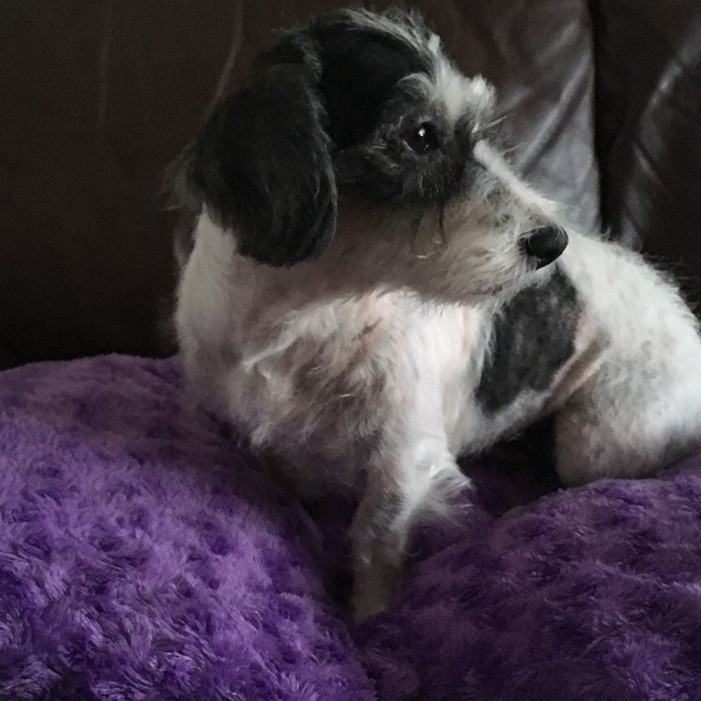 Meet your Posher, Mya